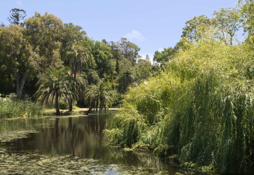 Lake Botanical Gardens Melbourne