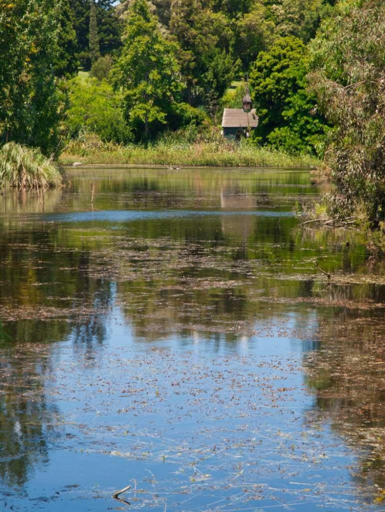 Botanical Gardens Melbourne