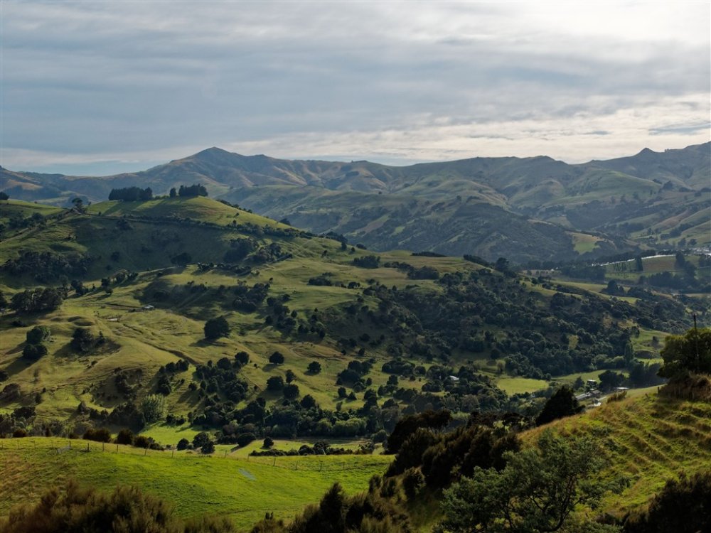 Between Napier and Christchurch